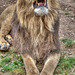 BESANCON: Citadelle: Le Lion (Panthera leo). 10