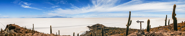 Isla Incahuasi (view full size!)