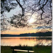 The bench by the lake - HBM
