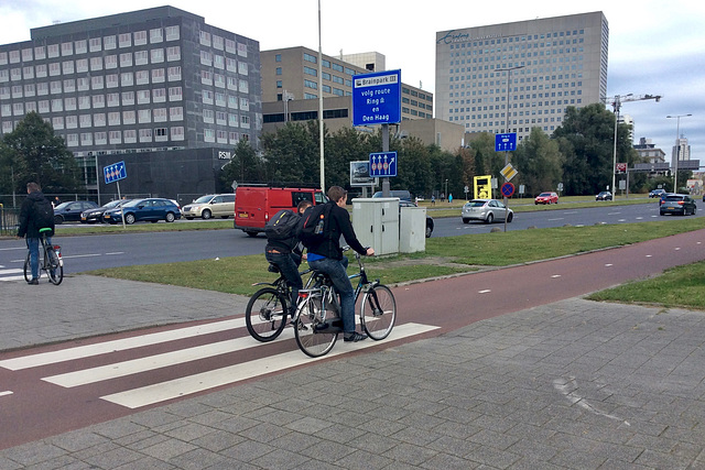 Rotterdam 2016 – Abram van Rijckevorselweg
