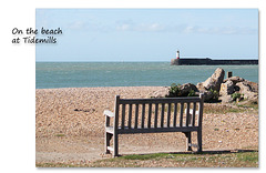 Bench at Tidemills Sussex - 18.4.2015