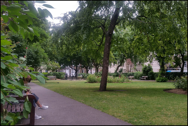 Queen Square green