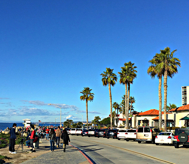 Coastal Boulevard