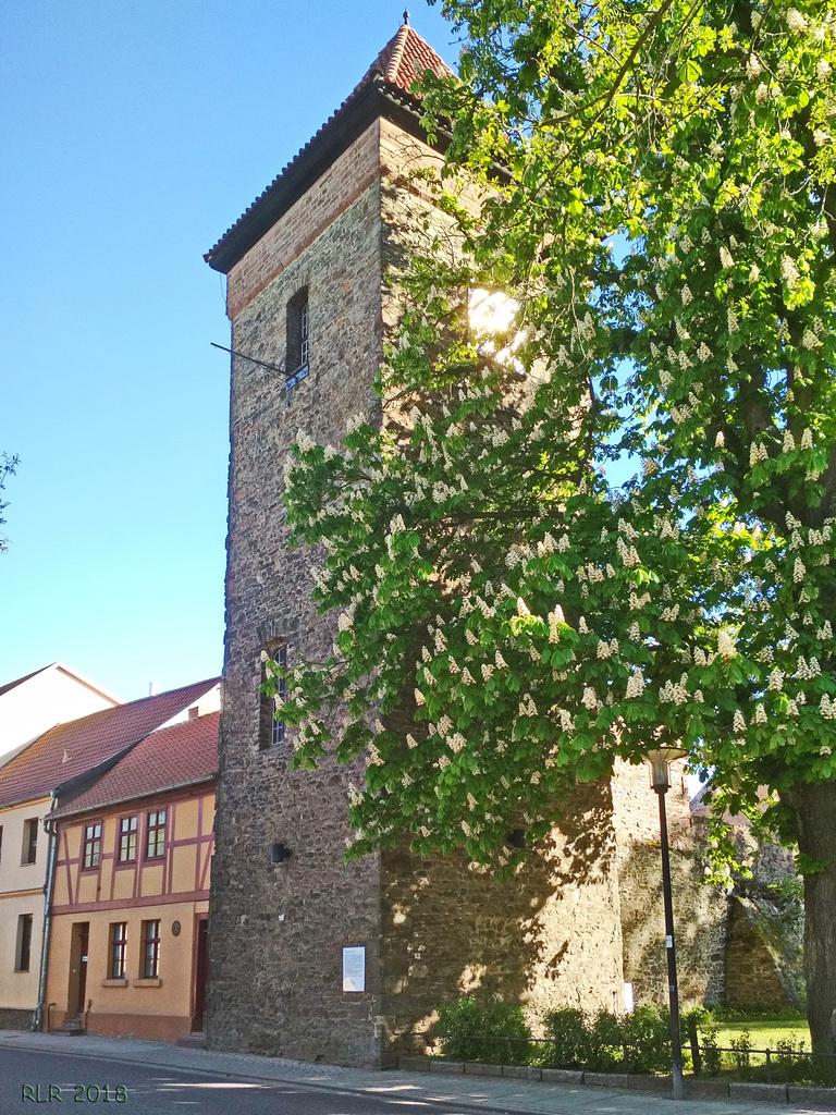 Haldensleben, Bülstringer Torturm Feldseite