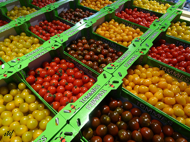 united colors of tomatoes