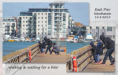Waiting for a bite - Newhaven - 18.4.2015
