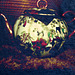 My great-grandmother's teapot