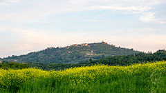 Montalcino, Toscana