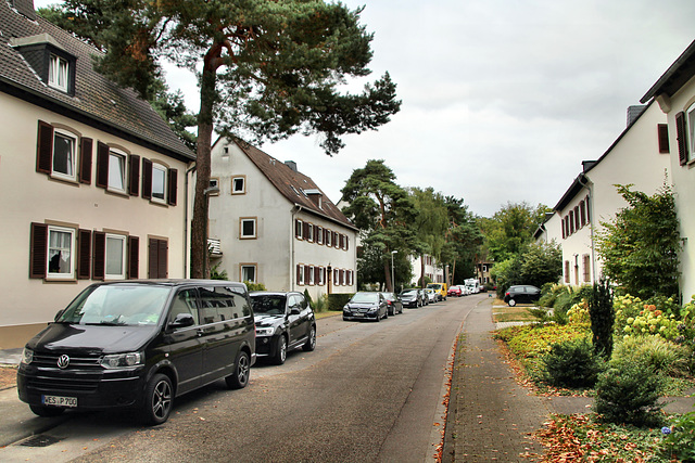 Leunaer Straße (Bereitschaftssiedlung, Marl) / 27.08.2022