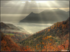 Sunbeams in the autumn colors