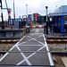 Railway crossing in Hoek van Holland Haven