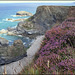 Ralph's Cupboard and bell heather, Cornwall