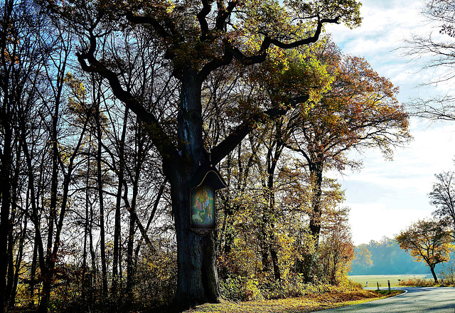 Alte Bildeiche - Old oak with religious painting - PiP