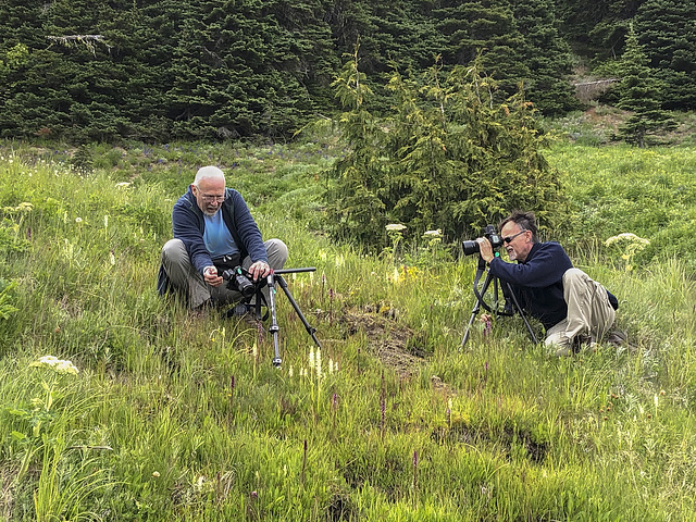 Jim and Walter photographing Platanthera dilatata var. dilatata (White Bog orchid)