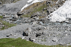 Aroser Alp: Plessur - 2015-06-26--D4 DSC3159