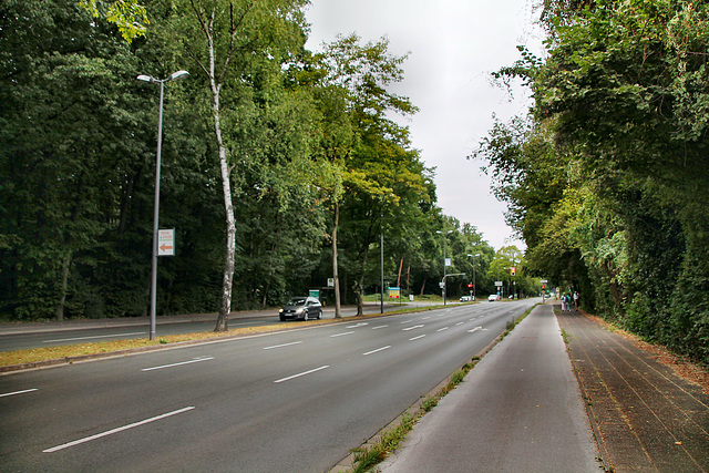 Rappaportstraße (Marl) / 27.08.2022