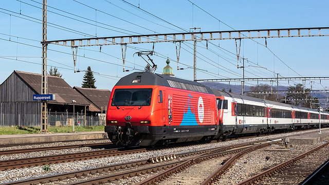 190321 Rupperswil Re460 Knie 2