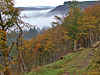 Autumn Mist in the Dale