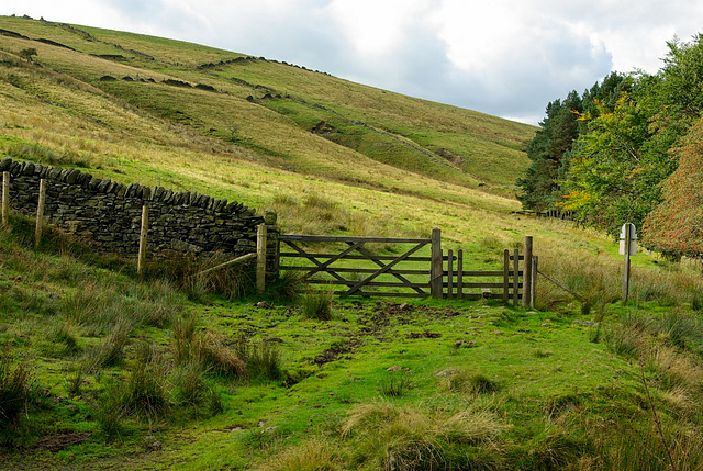 Look back over the stile