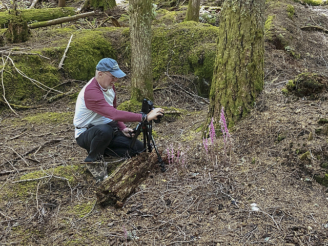 Jim photographing Corallorhiza mertensiana (Mertens' Coralroot orchid)