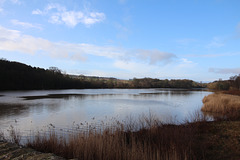 The Lake, Bretton Hall, West Yorkshire