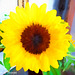 Positano Hotel Poseidon Sunflower Topaz Filter Painting Georgia OKeeffe