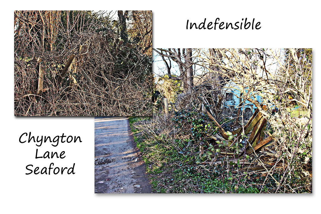 Indefensible - Chyngton Lane - Seaford - 14.3.2016