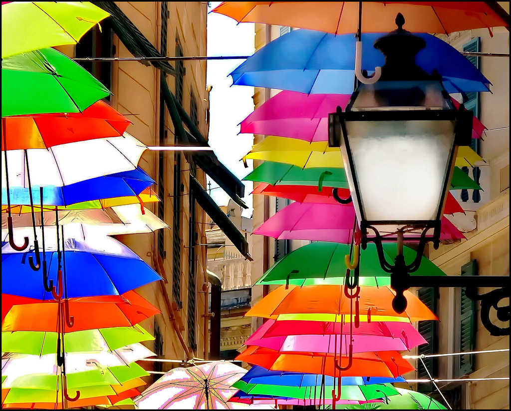 Un lampione in un mare di ombrelli !