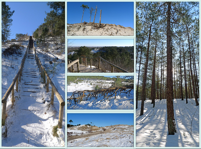 Nederland - Schoorlse Duinen