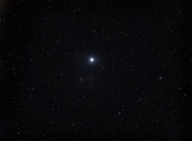 Canopus- from my back yard.