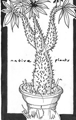 Farm Zine: Native Plants