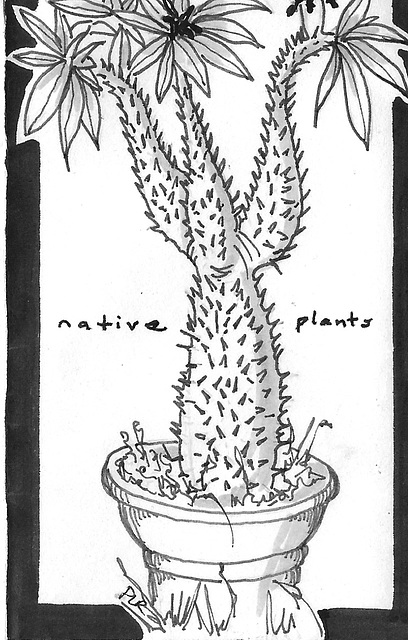 Farm Zine: Native Plants