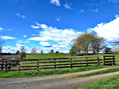 Rural Fence.