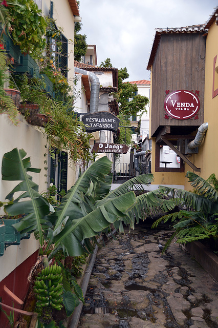 Altstadtflair in Funchal auf Madeira