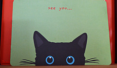 see you ...