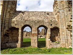 All what remains : ruins of Savigny Abbey