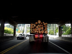 Logs ahead