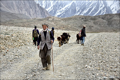 On the road…shepherds and their yaks