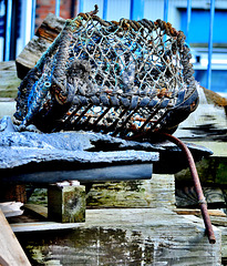 Discarded Lobster Pot
