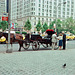Grand Army Plaza (Scan from June 1981)