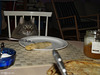 Milly waiting for pancakes (2008) - repost