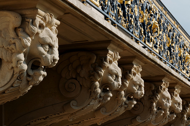 Les lions du Louvre