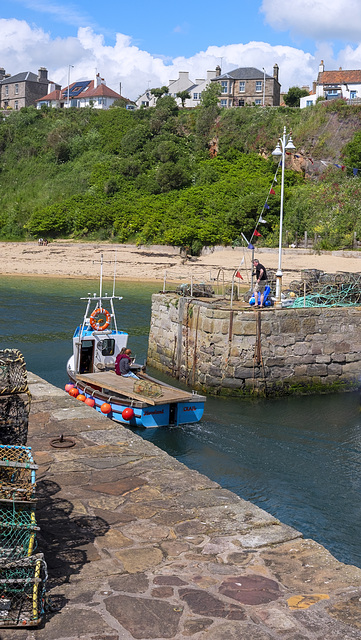 Fishing Boat Leaving Crail Harbour