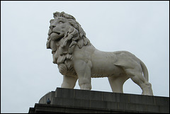 South Bank Lion