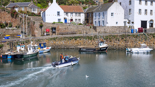Speed Boat in Crail Harbour