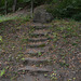 Тростянецкий дендропарк, Старые ступени / Trostyanets Arboretum, Old Stairs
