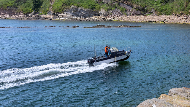 Speed Boat Approaching Crail Harbour