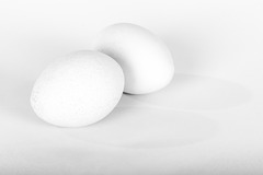Two Eggs (High Key Trial)