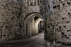 Carcassonne - La Porte Narbonnaise