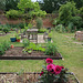 Raised beds in the walled garden